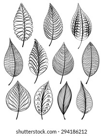 Set of abstract isolated leaves. Vector illustration.