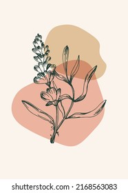 Set of Abstract Lavender Hand Painted Illustrations for Wall Decoration, minimalist flower in sketch style. Postcard, Social Media Banner, Brochure Cover Design Background. Modern Abstract Painting