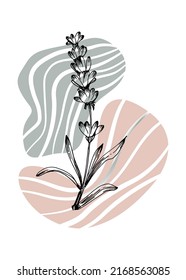 Conjunto de ilustraciones pintadas a mano de lavanda abstracta para la decoración de las paredes, flor minimalista con estilo de sketch. Postcard, Banner de medios sociales, Fondo de diseño de portada de folletos. Pintura abstracta moderna