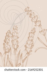 Conjunto de ilustraciones pintadas a mano de lavanda abstracta para la decoración de las paredes, flor minimalista con estilo de sketch. Postcard, Banner de medios sociales, Fondo de diseño de portada de folletos. Pintura abstracta moderna