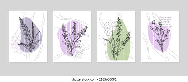 Conjunto de ilustraciones pintadas a mano de lavanda abstracta para la decoración de las paredes, flor minimalista con estilo de sketch. Postcard, Banner de medios sociales, Fondo de diseño de portada de folletos. Pintura abstracta moderna