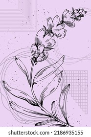Conjunto de ilustraciones pintadas a mano de lavanda abstracta para la decoración de paredes, flor minimalista en estilo de sketch. Postcard, Banner de medios sociales, Fondo de diseño de portada de folletos. Pintura abstracta moderna