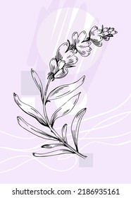 Set von abstrakten Lavendelhandgemälden für die Wanddekoration, minimalistische Blume im Skizzenstil. Postkarte, Social Media Banner, Broschüre Cover Design Hintergrund. Moderne abstrakte Malerei
