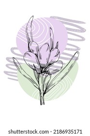 Set of Abstract lavender Hand Painted Illustrations for Wall Decoration, minimalist flower in sketch style. Postcard, Social Media Banner, Brochure Cover Design Background. Modern Abstract Painting