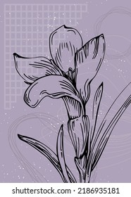 Set of Abstract lavender Hand Painted Illustrations for Wall Decoration, minimalist flower in sketch style. Postcard, Social Media Banner, Brochure Cover Design Background. Modern Abstract Painting