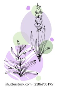 Set of Abstract lavender Hand Painted Illustrations for Wall Decoration, minimalist flower in sketch style. Postcard, Social Media Banner, Brochure Cover Design Background. Modern Abstract Painting
