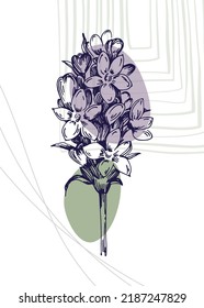 Set of Abstract Lavender Hand Painted Illustrations for Wall Decoration, minimalist flower in sketch style. Postcard, Social Media Banner, Brochure Cover Design Background. Modern Abstract Painting