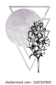 Set of Abstract Lavender Hand Painted Illustrations for Wall Decoration, minimalist flower in sketch style. Postcard, Social Media Banner, Brochure Cover Design Background. Modern Abstract Painting