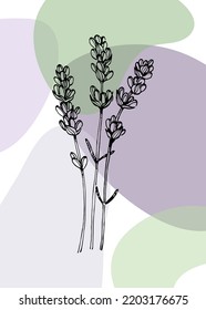 Set of Abstract Lavender Hand Painted Illustrations for Wall Decoration, minimalist flower in sketch style. Postcard, Social Media Banner, Brochure Cover Design Background. Modern Abstract Painting.