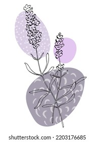Set of Abstract Lavender Hand Painted Illustrations for Wall Decoration, minimalist flower in sketch style. Postcard, Social Media Banner, Brochure Cover Design Background. Modern Abstract Painting.