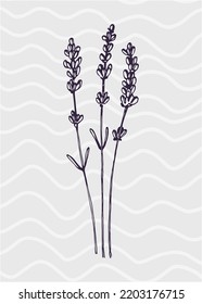 Conjunto de ilustraciones pintadas a mano de lavanda abstracta para la decoración de las paredes, flor minimalista con estilo de sketch. Postcard, Banner de medios sociales, Fondo de diseño de portada de folletos. Pintura Resumen Moderna.
