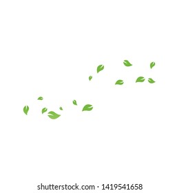 set of abstract leaf background template vector illustration design