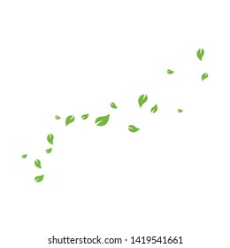 set of abstract leaf background template vector illustration design