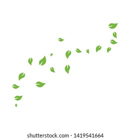 set of abstract leaf background template vector illustration design