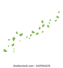 set of abstract leaf background template vector illustration design