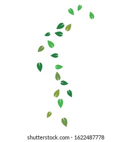 set of abstract leaf background template vector illustration design 