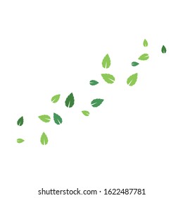 set of abstract leaf background template vector illustration design 