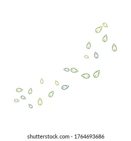 set of abstract leaf background template vector illustration design 