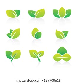 Set of Abstract Leaf Icons