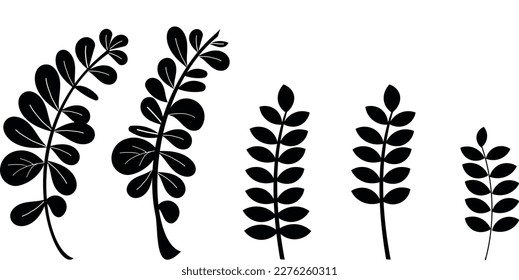 A set of abstract leaves. Elements of vector design.
