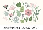 Set of abstract leaves, flowers and grass. Clipart, isolated elements. Vector illustrations.