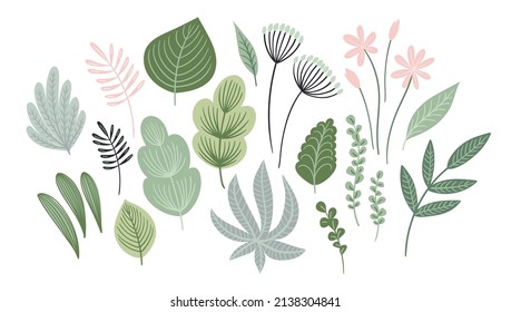 Set of abstract leaves, flowers and grass. Clipart, isolated elements. Vector illustrations.