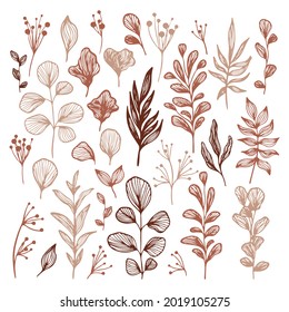 Set of abstract leaves. Line art, doodles. Collection of isolated elements for design.