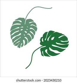Set of abstract leaves. Silhouette of a monstera. Vector leaf of green color. Nature, ecology, botany, flora. Houseplant leaves for design.