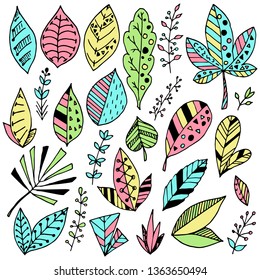 Set of abstract leaves. Vector cartoon illustrations. Isolated objects on a white background. Hand-drawn style.