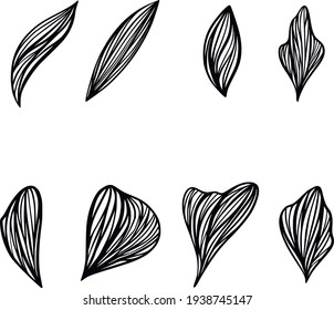 Set of abstract line art petals and leaves to create your own flowers, bouquets, textures and patterns. Logo design, invitations. Vector graphics. Line drawing icon. Stylish abstract simple leaves.