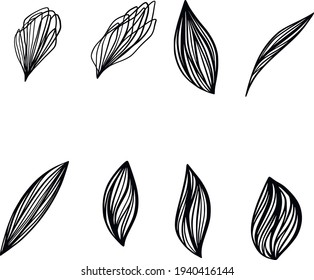 Set of abstract line art petals and leaves to create your own flowers, bouquets, textures and patterns. Logo design, invitations. Vector graphics. Line drawing icon. Stylish abstract simple leaves.