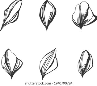 Set of abstract line art petals and leaves to create your own flowers, bouquets, textures and patterns. Logo design, invitations. Vector graphics. Line drawing icon. Stylish abstract simple leaves.