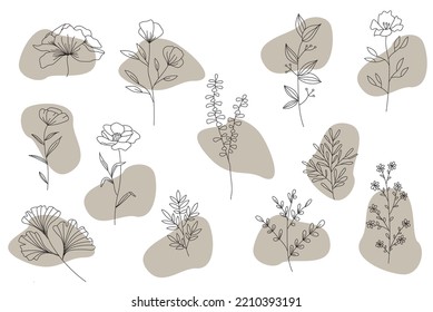 Set of abstract line botanical elements. Hand drawn line wedding herb and flowers, elegant wildflowers. Minimal line art drawing for print, cover or wallpaper