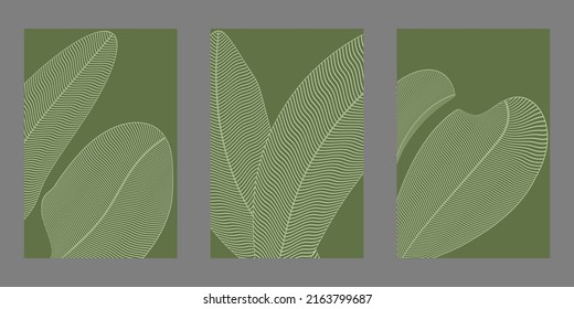Set of abstract line of tropical leaf with green color background