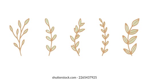Set of abstract linear branches with leaves Vector illustrations for design, decor, cards, invitations, packaging. Vector illustration. Set of five icons on a white background.