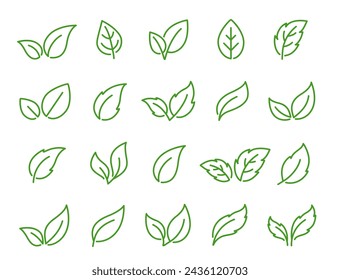 set of abstract linear green leaves icons, environmental emblem and greenery label, branches, twigs and sprigs silhouettes on white background