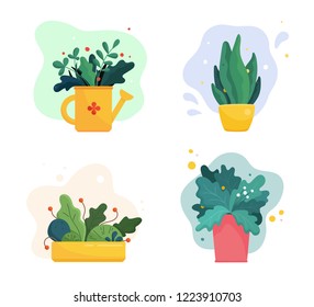 Set of abstract lush plants in flowerpots and watering can. Assorted leaves, flowers and berries. Domestic gardening illustration in modern simple flat art style. Vector illustration isolated on white