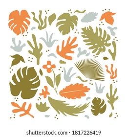 Set of abstract modern plants, palm leaves, fern, monstera. Greenery and flowers botanical decoration element. Vector illustration