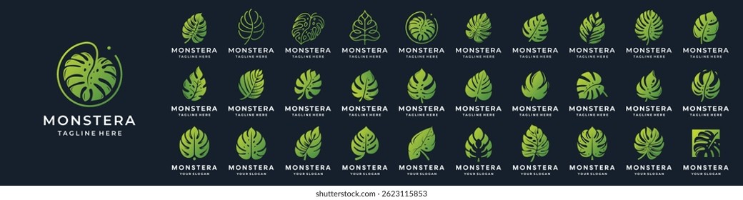 set of abstract monstera leaf inspiration. tropical leaves, leaf branch, monstera leaves collection.