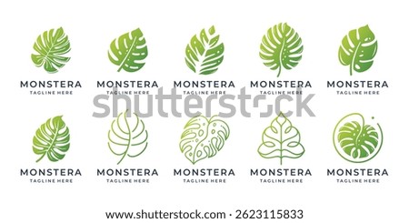 set of abstract monstera leaves logo with gradient color branding trendy vector illustration.
