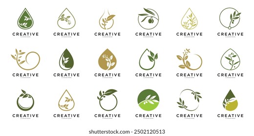 Set of abstract olive oil logo design template. Premium Vector