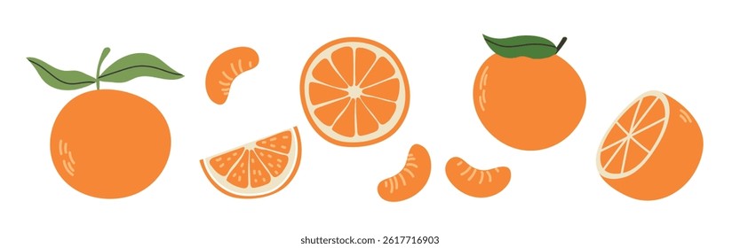 Set of abstract oranges. Simple orange. Organic fruit for juice, smoothie or healthy food. Fruit collection design for interior, poster, banner. Vector illustration on white background.