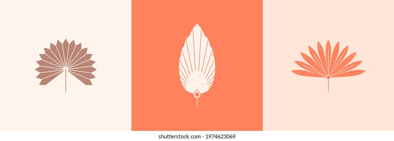 Set of Abstract Palm Leaves Silhouette in Simple Style. Vector Tropical Leaf Boho Emblem. Floral Illustration for create Logo, Pattern, T-shirt Prints, Tattoo Design, Social Media Post and Stories