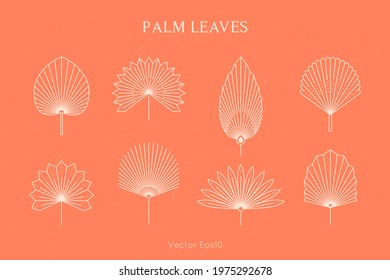 Set of Abstract Palm Leaves in a Trendy Minimal Linear Style. Vector Tropical Leaf Boho Emblem. Floral Illustration for create Logo, Pattern, T-shirt Prints, Tattoo, Social Media Post and Stories