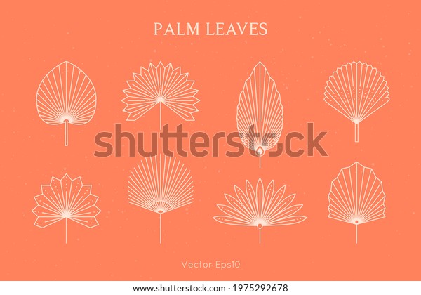 Set of Abstract Palm Leaves in a Trendy Minimal\
Linear Style. Vector Tropical Leaf Boho Emblem. Floral Illustration\
for create Logo, Pattern, T-shirt Prints, Tattoo, Social Media Post\
and Stories
