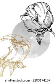 Set of Abstract peonies Hand Painted Illustrations for Wall Decoration, minimalist flower in sketch style. Postcard, Social Media Banner, Brochure Cover Design Background. Modern Abstract Painting.