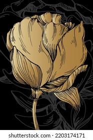 Set of Abstract peonies Hand Painted Illustrations for Wall Decoration, minimalist flower in sketch style. Postcard, Social Media Banner, Brochure Cover Design Background. Modern Abstract Painting.