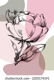 Set of Abstract peonies Hand Painted Illustrations for Wall Decoration, minimalist flower in sketch style. Postcard, Social Media Banner, Brochure Cover Design Background. Modern Abstract Painting.