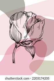 Set of Abstract peonies Hand Painted Illustrations for Wall Decoration, minimalist flower in sketch style. Postcard, Social Media Banner, Brochure Cover Design Background. Modern Abstract Painting.