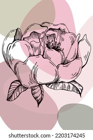 Set of Abstract peonies Hand Painted Illustrations for Wall Decoration, minimalist flower in sketch style. Postcard, Social Media Banner, Brochure Cover Design Background. Modern Abstract Painting.